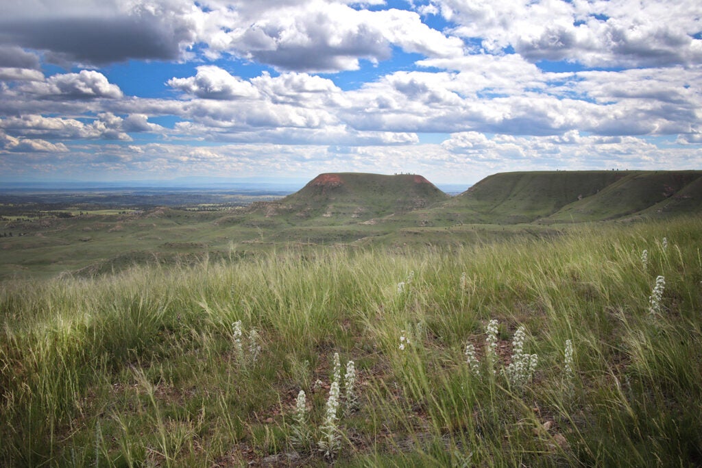 An expansive view of the Bull Mountains in Montana. (Northern Plains Resource Council)